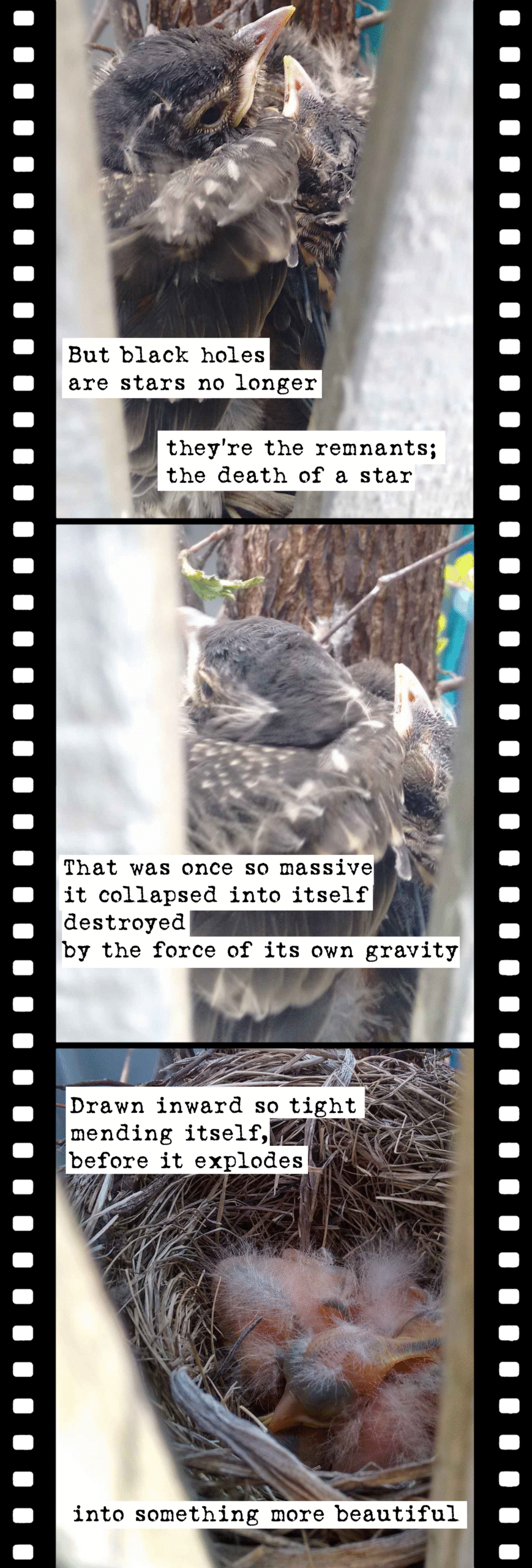 All the light we cannot see